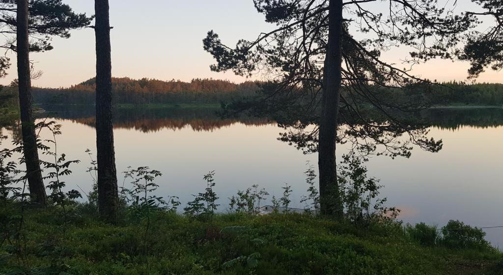 Cabin In The Woods, Lolandsvannet Near Kristiansand Vennesla Εξωτερικό φωτογραφία