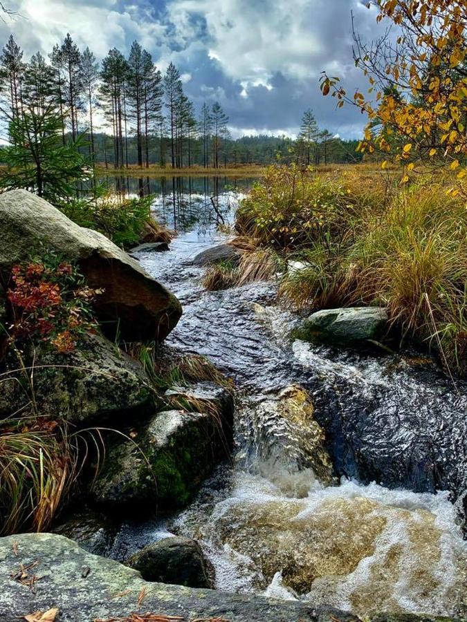 Cabin In The Woods, Lolandsvannet Near Kristiansand Vennesla Εξωτερικό φωτογραφία